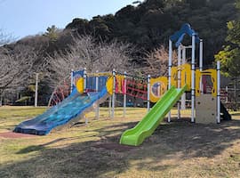 プレイポートワンダー